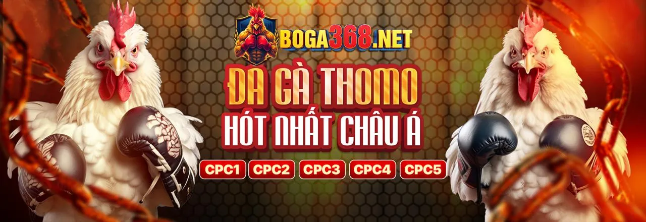 Đăng Ký Y088