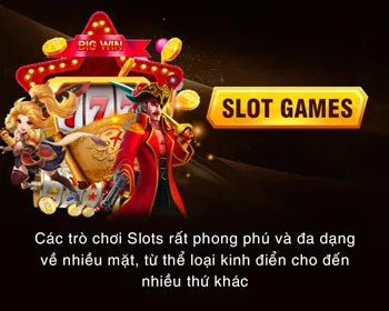Video slot y088